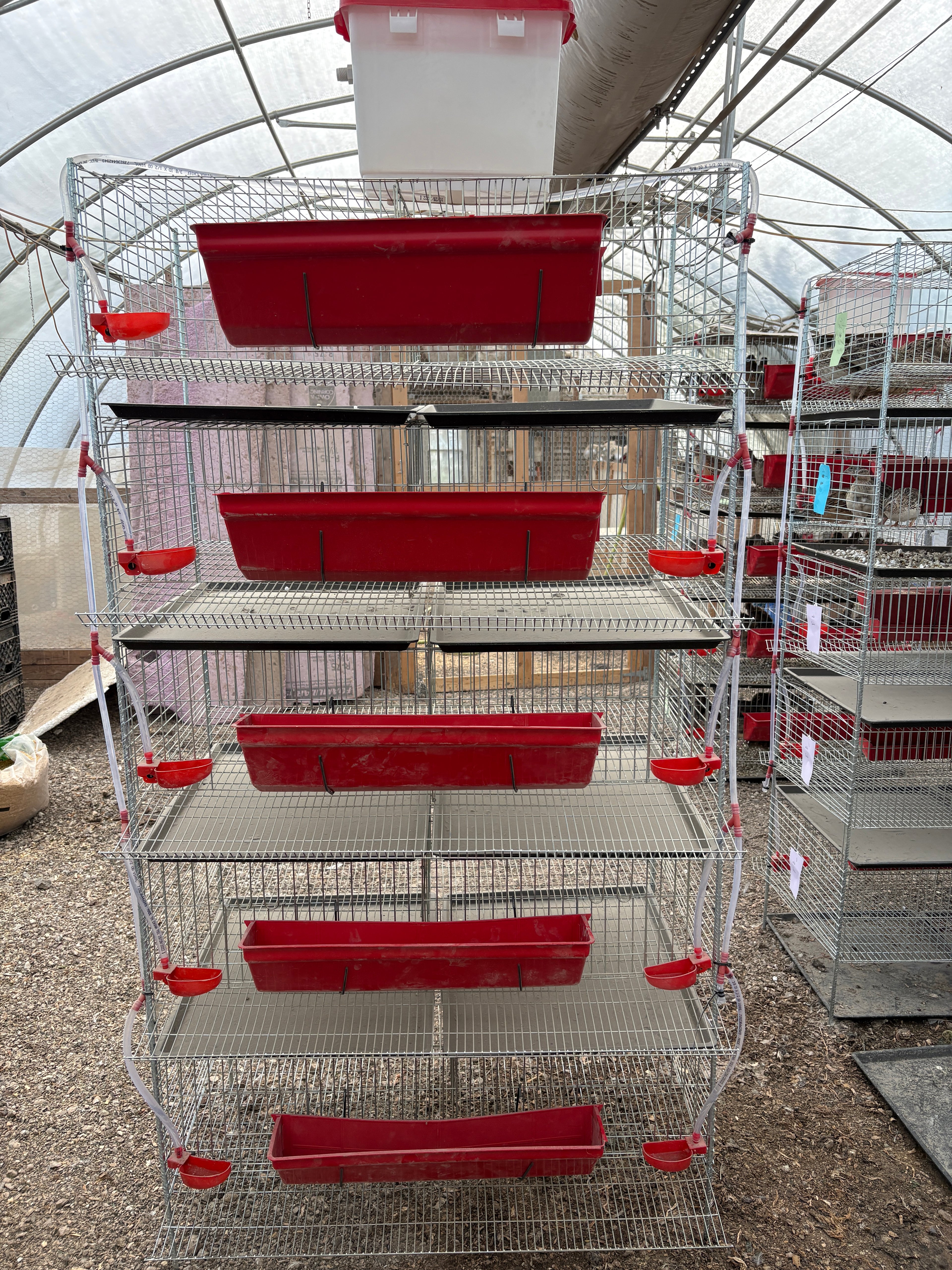 Silver Creek Farms - Stacking Cages for Quail - Preorder - Premium Equipment for Hatching and Homesteading