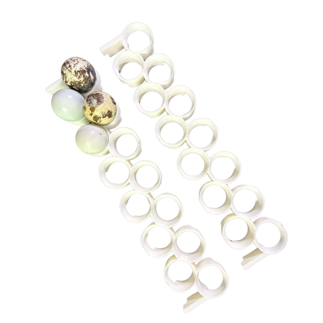 Silver Creek Farms - Jumbo Quail Egg Rails for Cimuka®/Hatching Time® Incubators (CT-Series) - Premium Equipment for Hatching and Homesteading