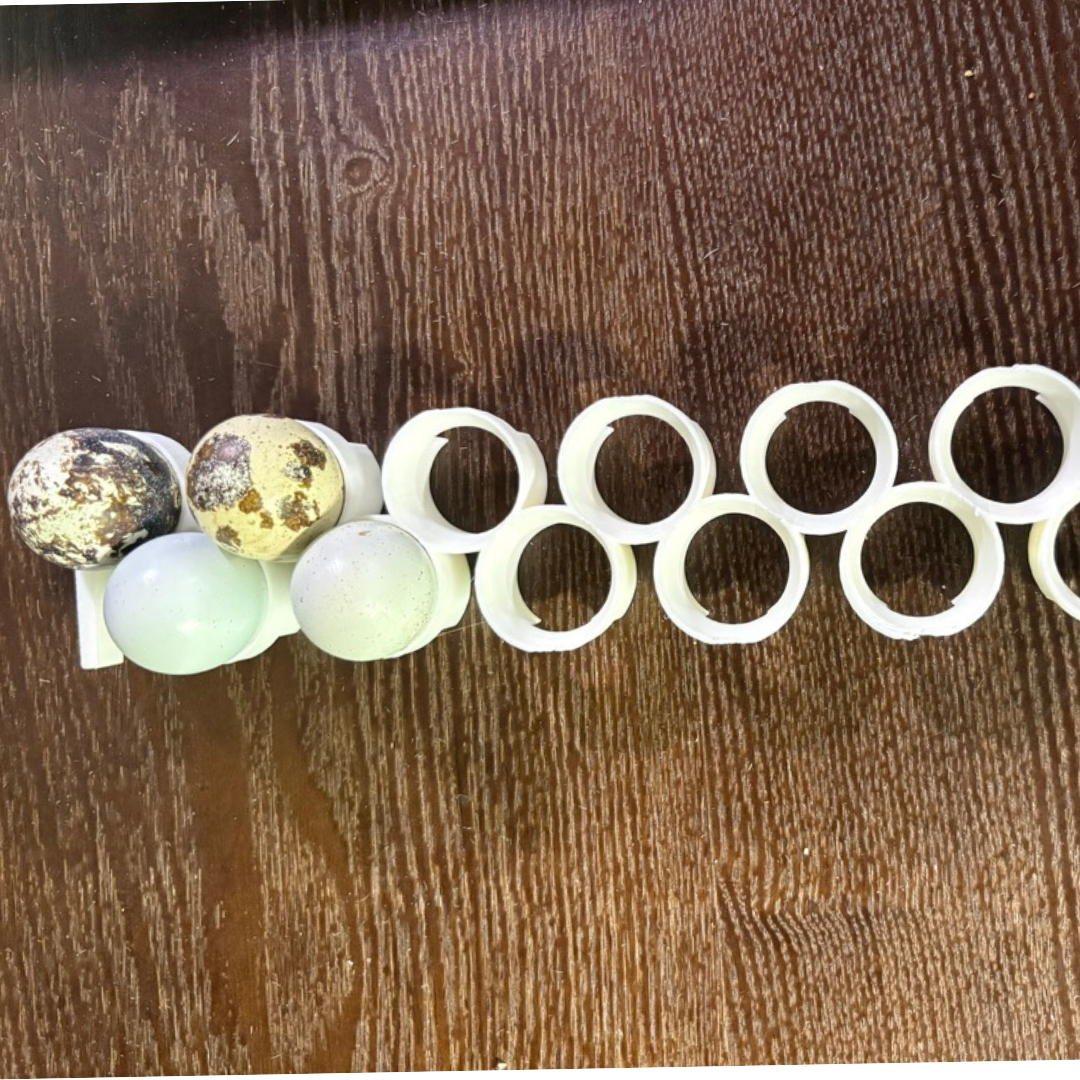 Silver Creek Farms - Jumbo Quail Egg Rails for Cimuka®/Hatching Time® Incubators (CT-Series) - Premium Equipment for Hatching and Homesteading