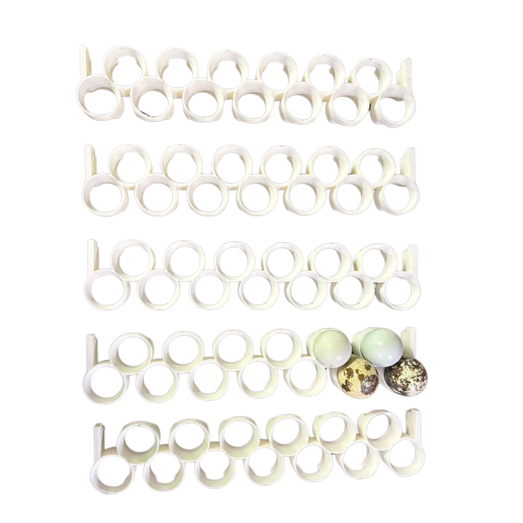 Silver Creek Farms - Jumbo Quail Egg Rails for Cimuka®/Hatching Time® Incubators (CT-Series) - Premium Equipment for Hatching and Homesteading