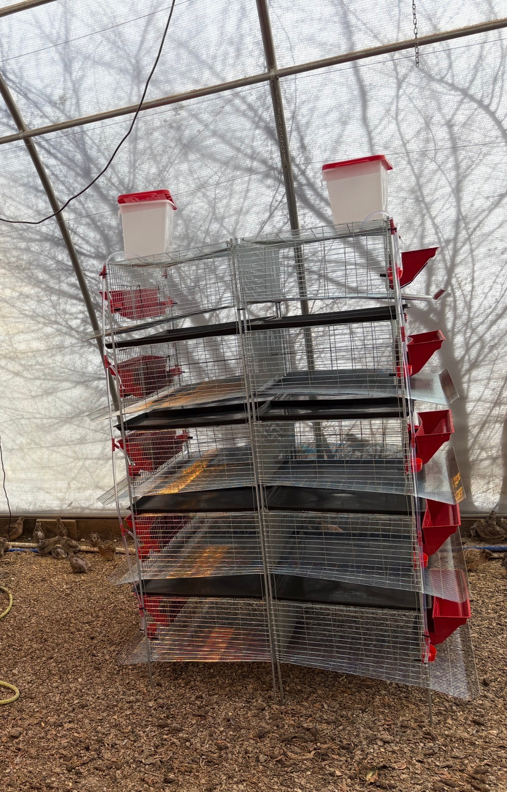 Silver Creek Farms - Stacking Cages for Quail - Preorder - Premium Equipment for Hatching and Homesteading