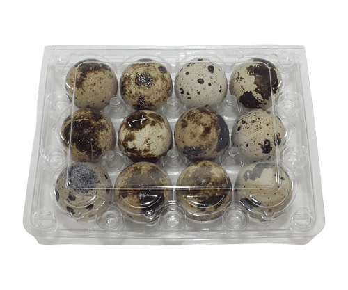 Silver Creek Farms - 12-cell Jumbo Quail Egg Cartons (3x4) - Premium Equipment for Hatching and Homesteading