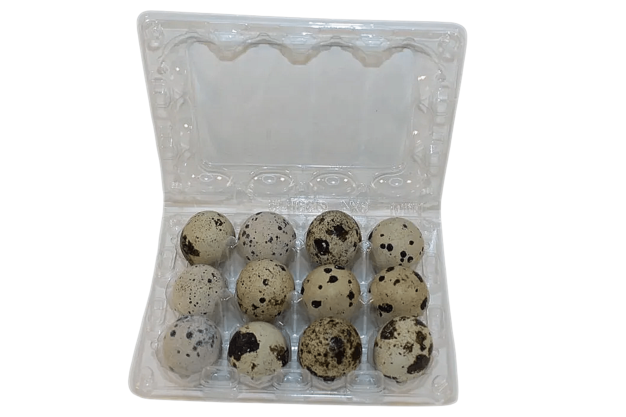 Silver Creek Farms - 12-cell Large Jumbo Quail/Pigeon Egg Cartons (3x4) - Premium Equipment for Hatching and Homesteading