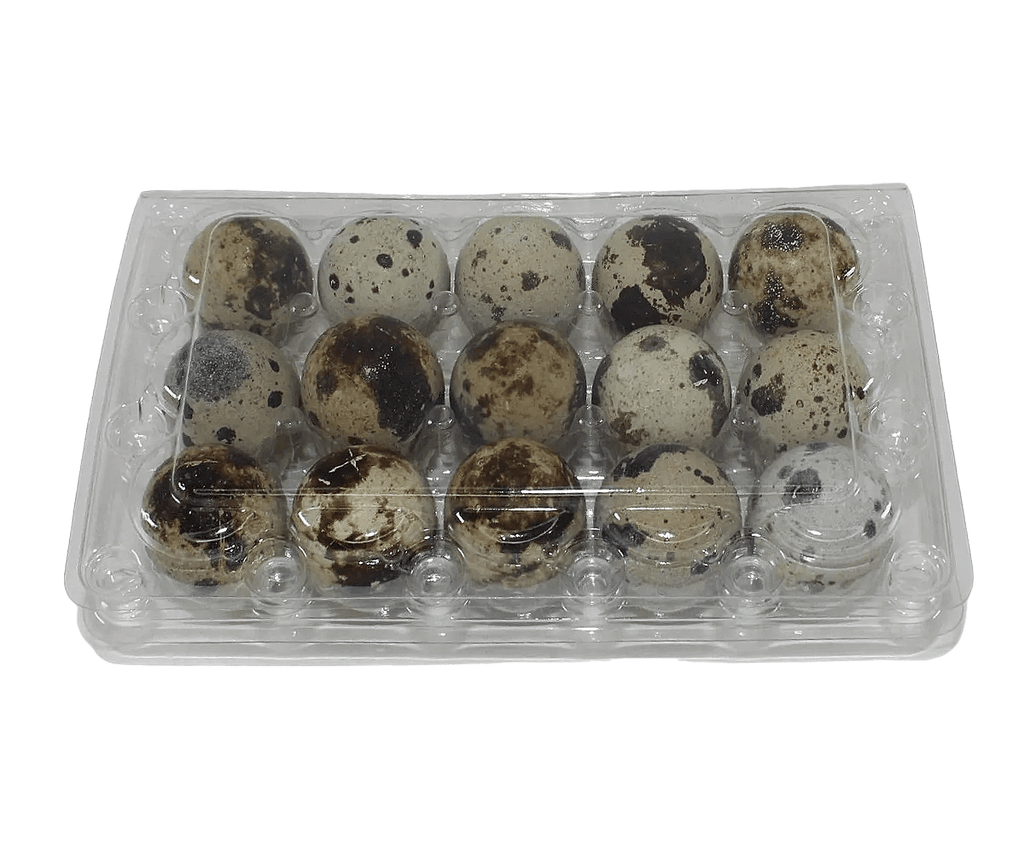 Silver Creek Farms - 15-cell Jumbo Quail Egg Cartons (3x5) - Premium Equipment for Hatching and Homesteading