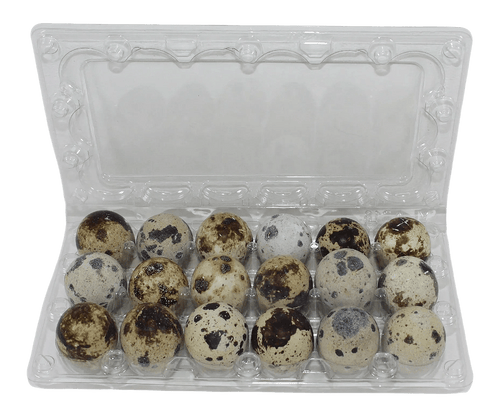 Silver Creek Farms - 18-cell Jumbo Quail Egg Cartons (3x6) - Premium Equipment for Hatching and Homesteading
