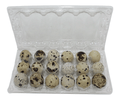 Silver Creek Farms - 18-cell Large Jumbo Quail/Pigeon Egg Cartons (3x6) - Premium Equipment for Hatching and Homesteading