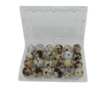 Silver Creek Farms - 24-cell Jumbo Quail Egg Cartons (4x6) - Premium Equipment for Hatching and Homesteading