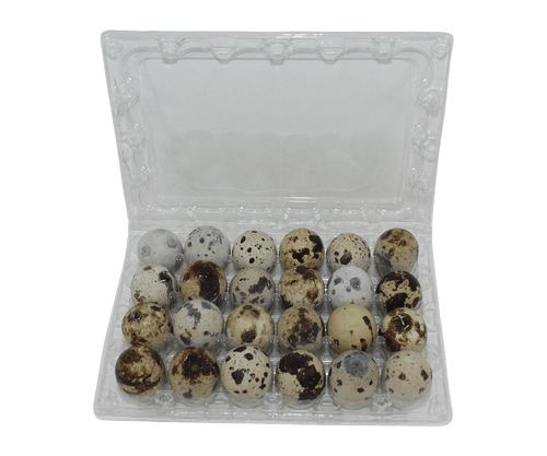 Silver Creek Farms - 24-cell Jumbo Quail Egg Cartons (4x6) - Premium Equipment for Hatching and Homesteading