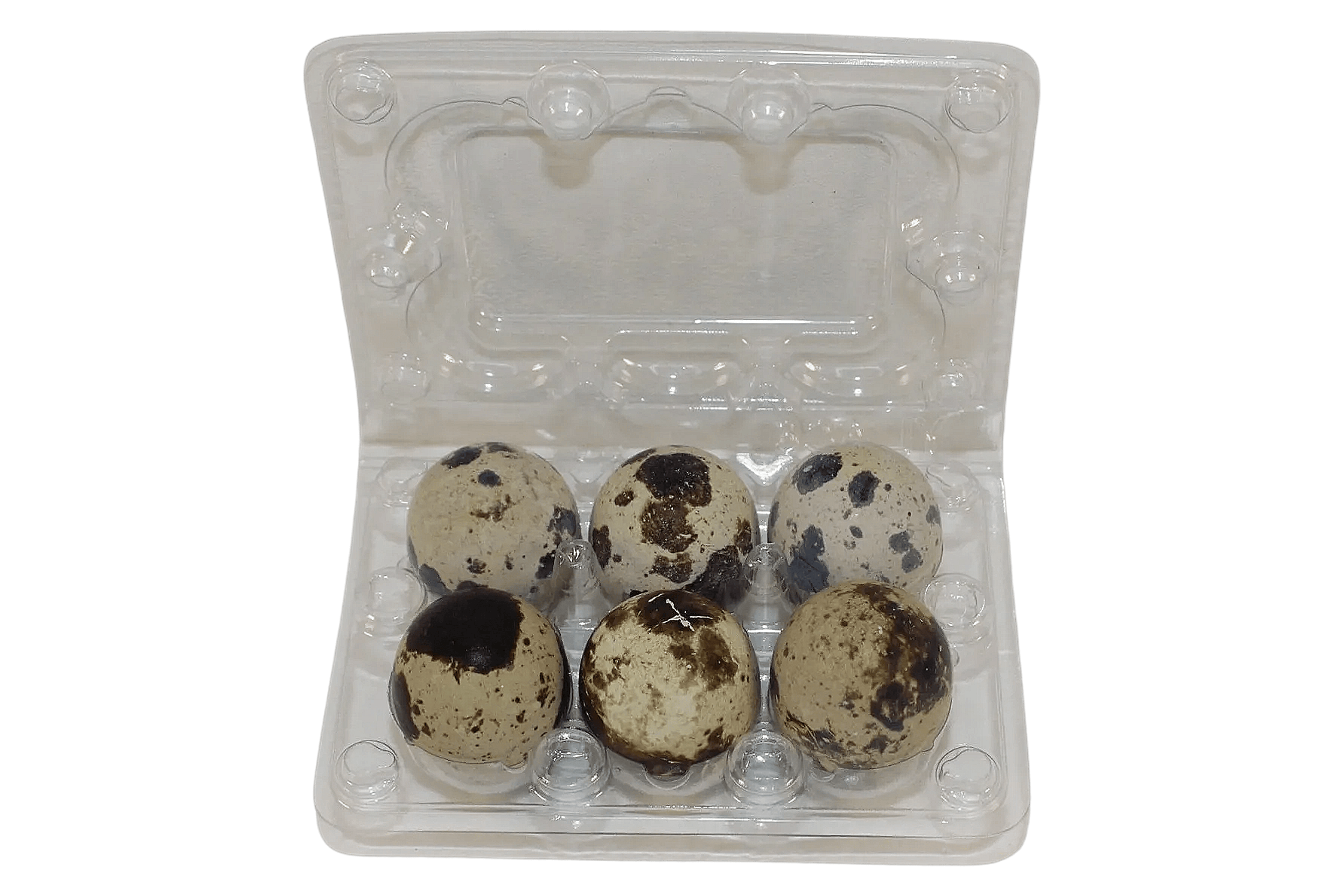 Silver Creek Farms - 6-cell Jumbo Quail Egg Cartons (2x3) - Premium Equipment for Hatching and Homesteading