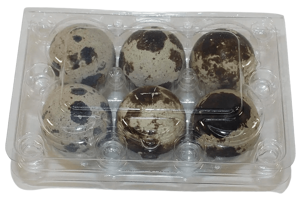 Silver Creek Farms - 6-cell Jumbo Quail Egg Cartons (2x3) - Premium Equipment for Hatching and Homesteading