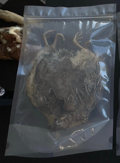 Silver Creek Farms - Whole Quail Adult Dog Treats - Premium Pet treats for Hatching and Homesteading